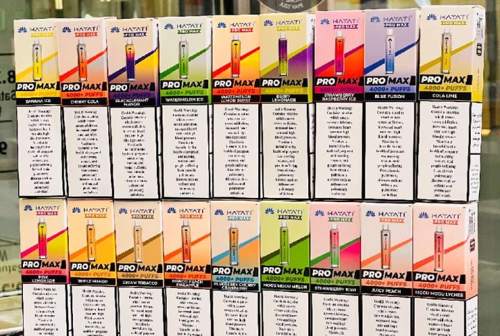 Hayati Pro Max 4000 Puffs Disposable